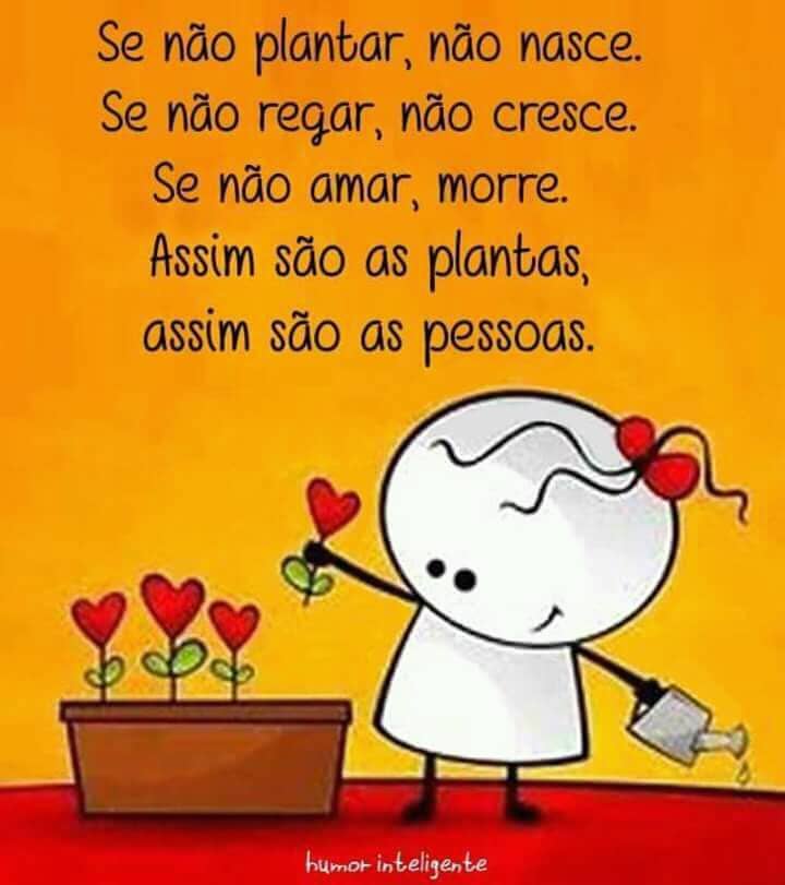 Assim São As Plantas