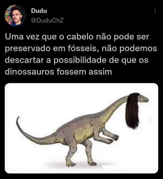 Cabelos Em Fósseis