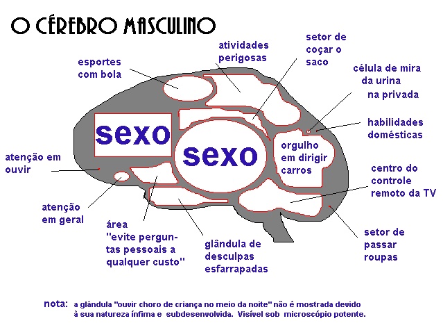 Cérebro Masculino