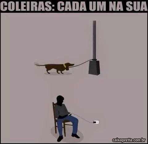 Coleiras: Cada Um Na Sua