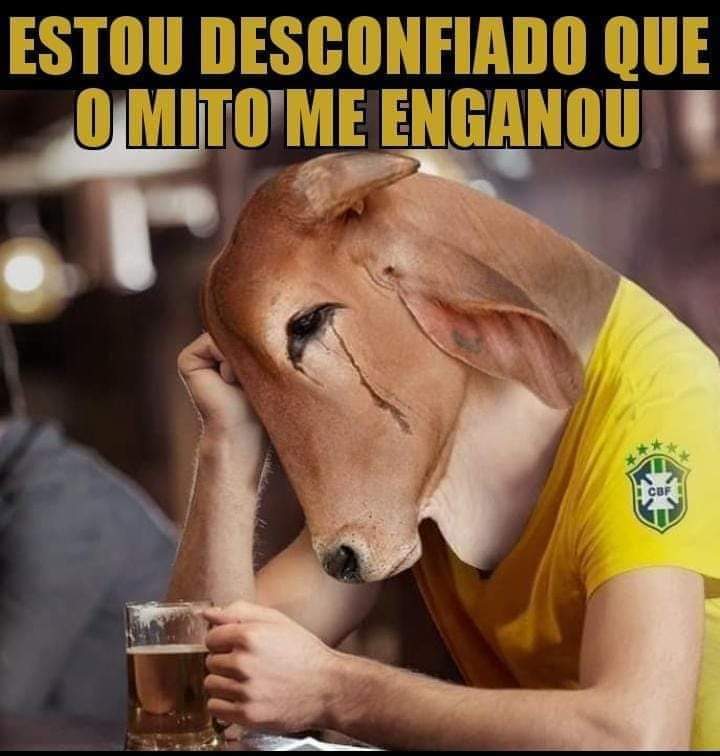 Desconfiado Que Bolsonaro Me Enganou