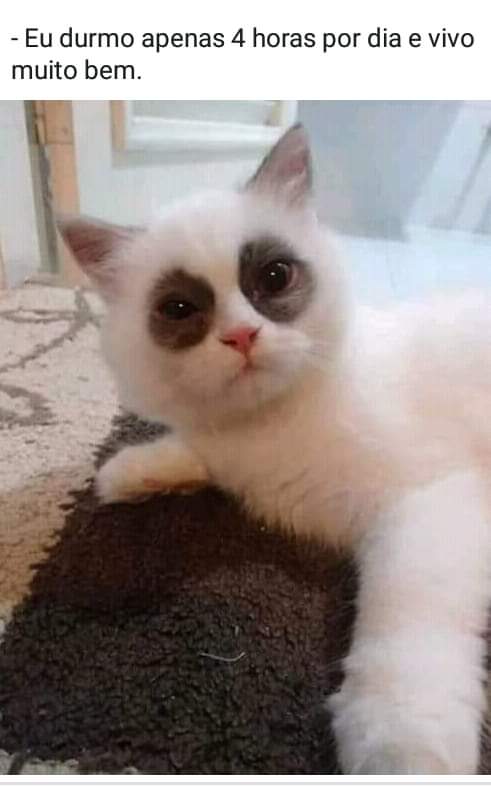 Durmo Apenas 4 Horas Por Dia