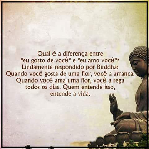 Eu Gosto De Você VS Eu Amo Você