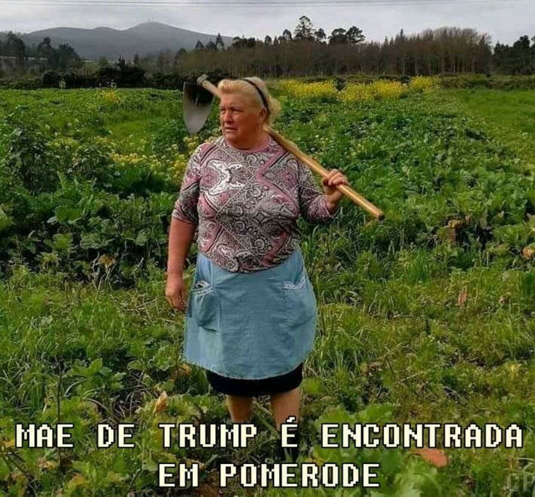 Mãe De Trump Encontrada Em Pomerode