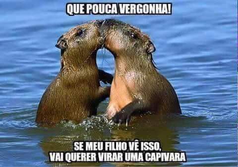 Meu Filho Quer Virar Uma Capivara
