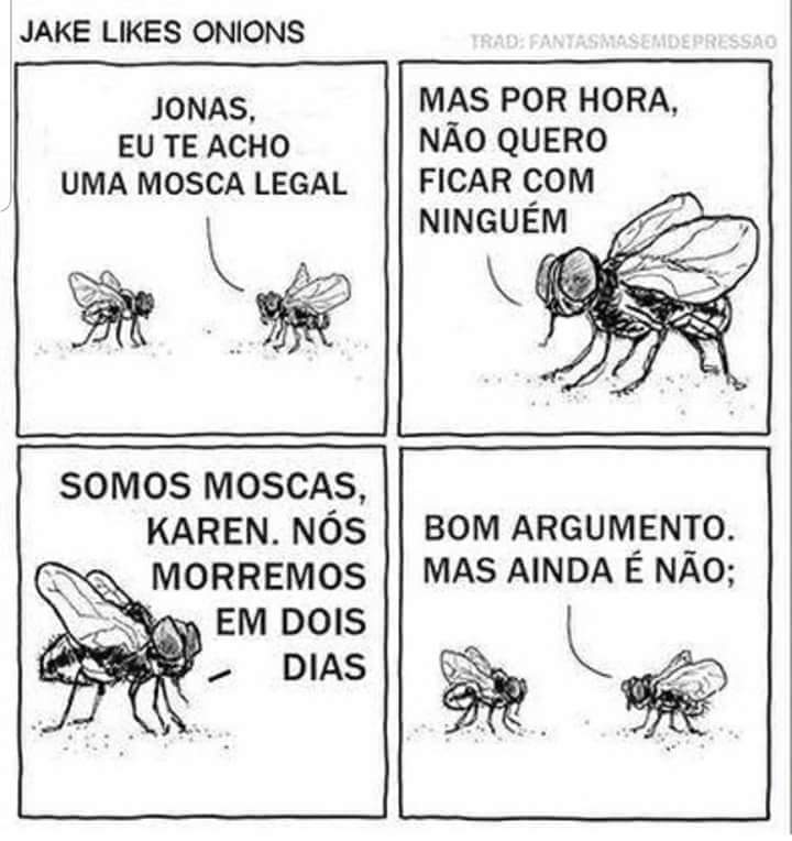Mosca Não Quer Ficar Com Ninguém