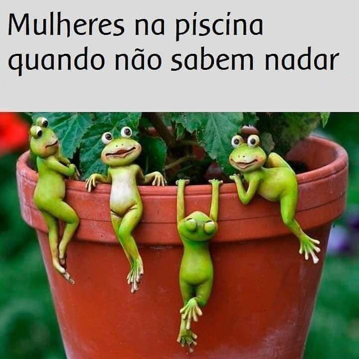 Mulheres Na Piscina Quando Não Sabem Nadar