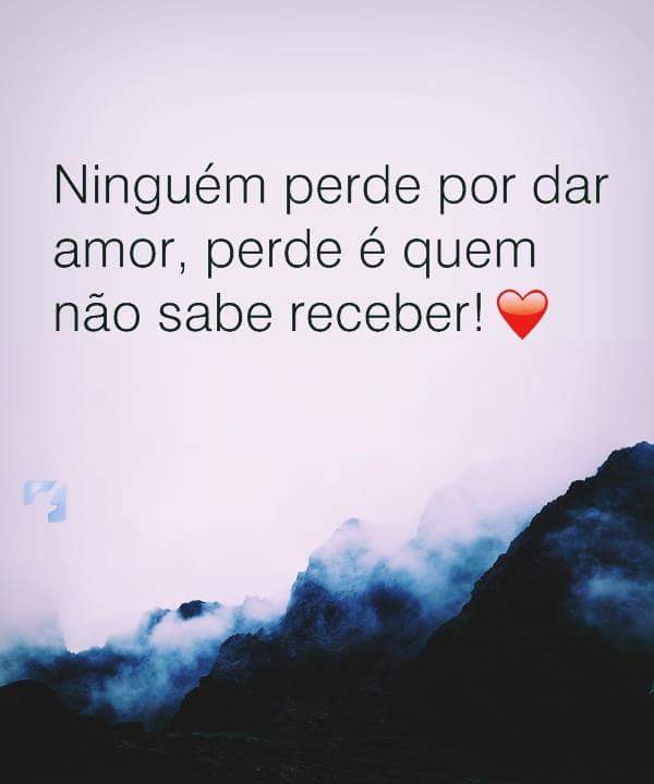 Ninguem Perde Por Dar Amor
