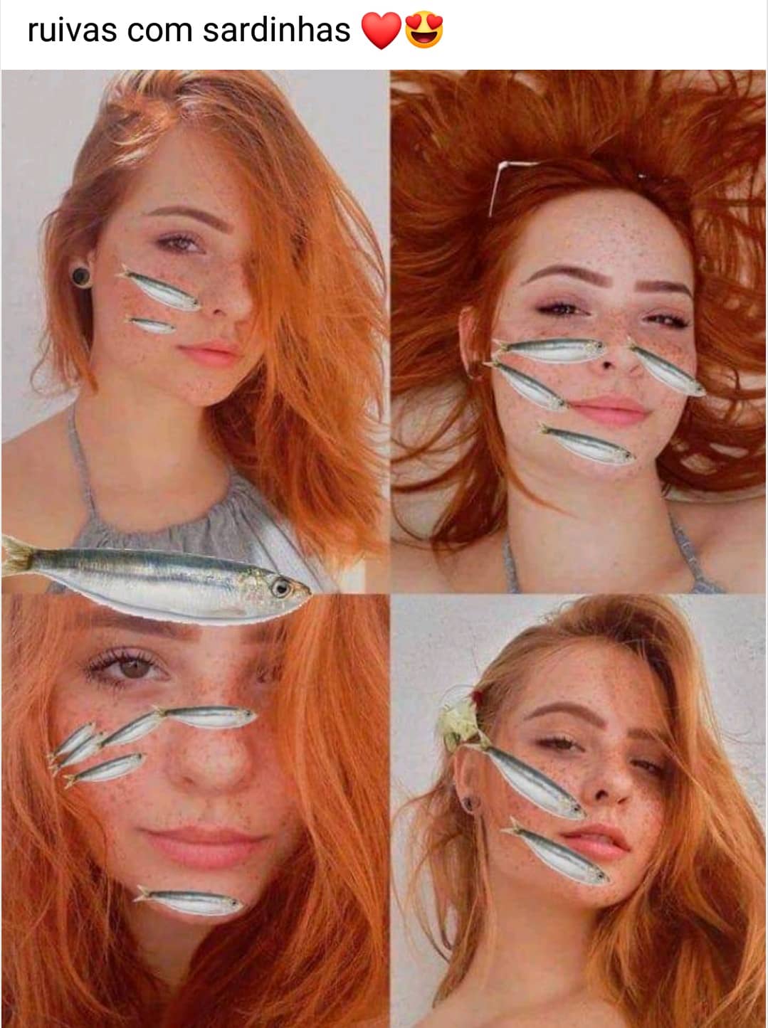 Ruivas Com Sardinhas