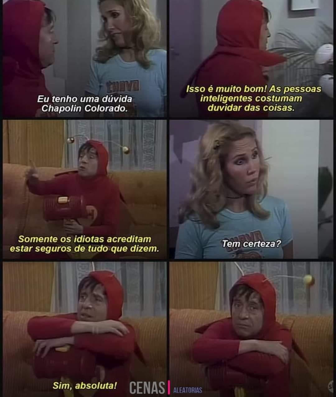 Somente Os Idiotas Estão Seguros Do Que Dizem