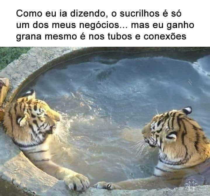 Tigre Sucrilhos Ou Tubos E Conexões